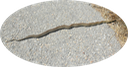 2 Gopher Snake