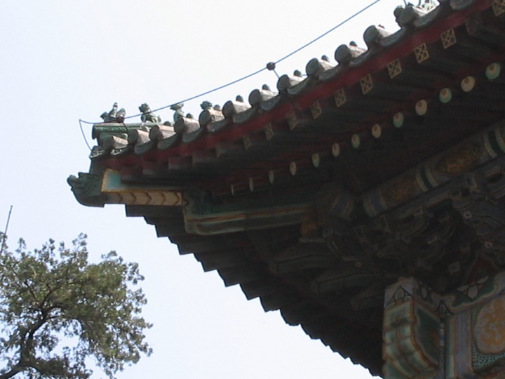 35. animals on roof 1