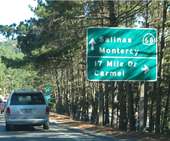 36 17_mile_drive copy