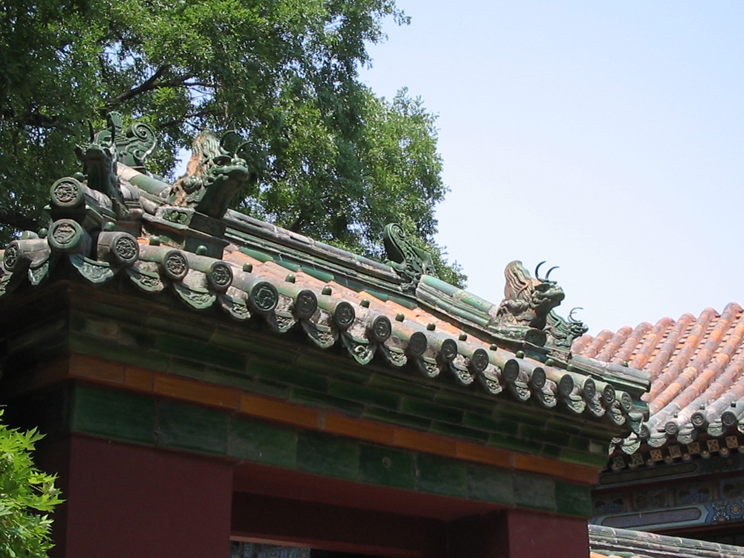 36. animals on roof 2