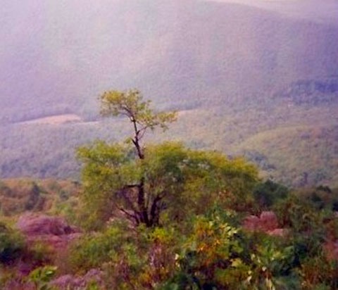 Blue Ridge Pkwy 5 copy