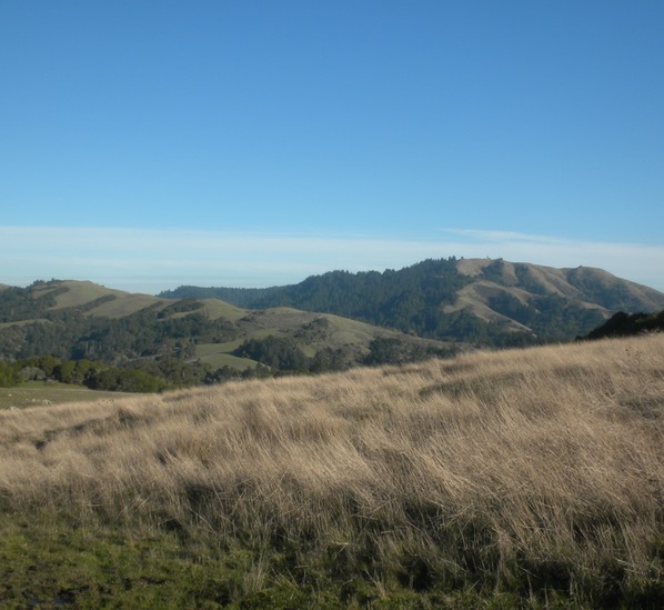 Bolinas Ridge 5