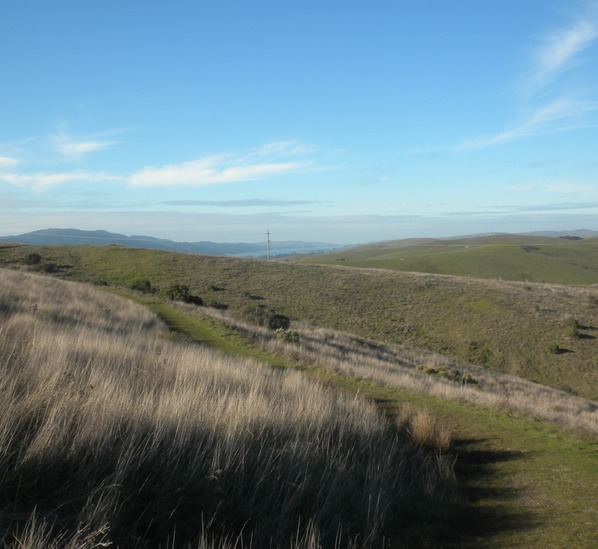 Bolinas Ridge 6