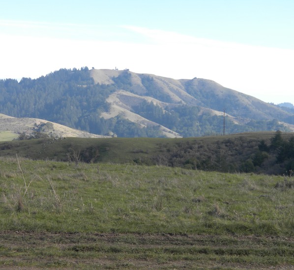 Bolinas Ridge Sceen 1