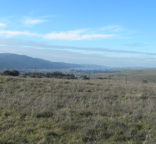 Bolinas Ridge Sceen 3