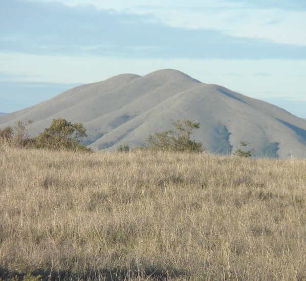 Bolinas Ridge Sceen 4