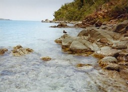 Caribbean Beaches 9 copy