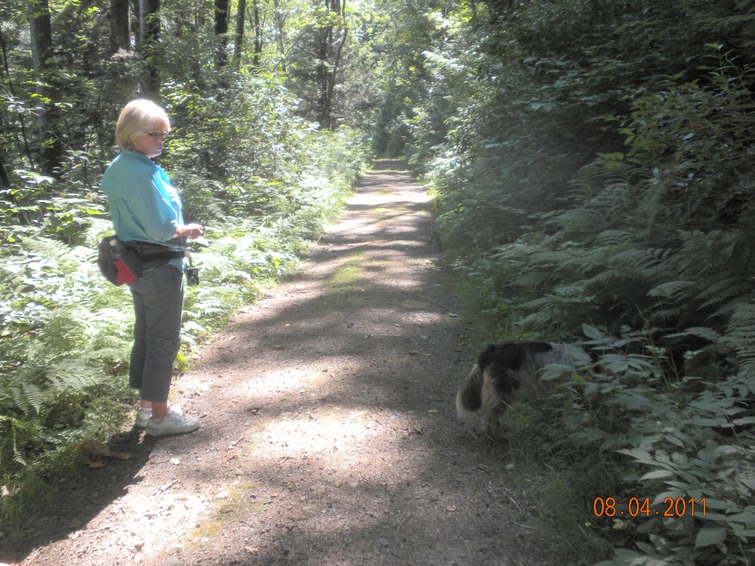 Hicks Lake trail 3