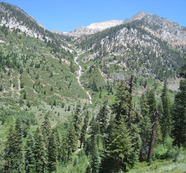 IMG_2176 copy