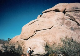 Joshua Tree11