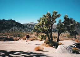 Joshua Tree6