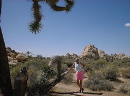 JoshuaTree1