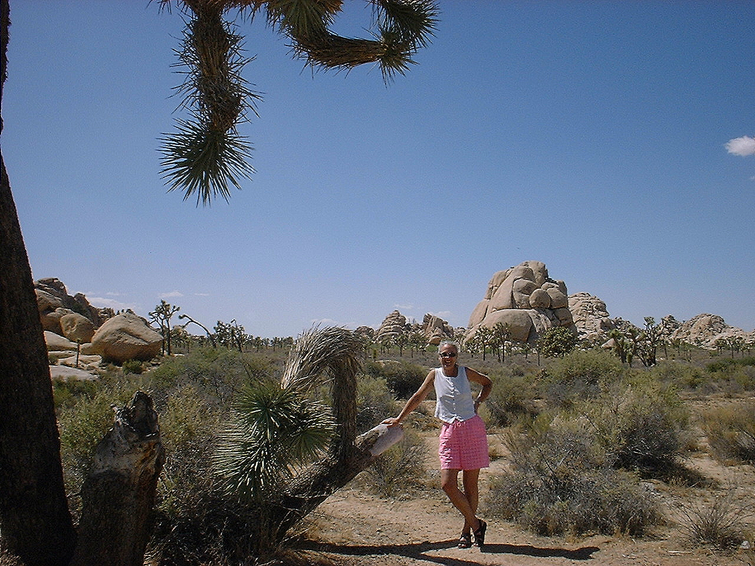 '%PDF-'JoshuaTree/.Xie