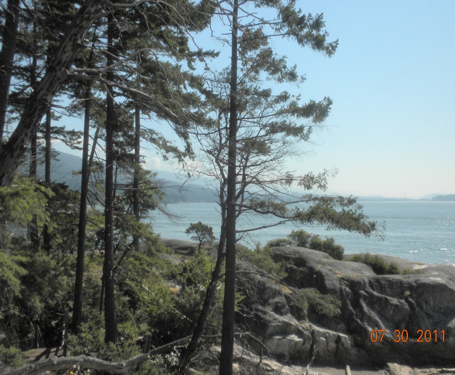Lighthouse park view