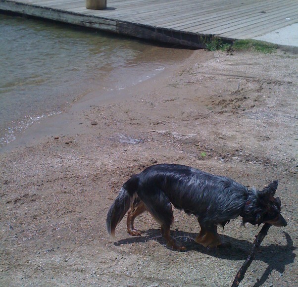 Maya at Grand Lake 2 copy