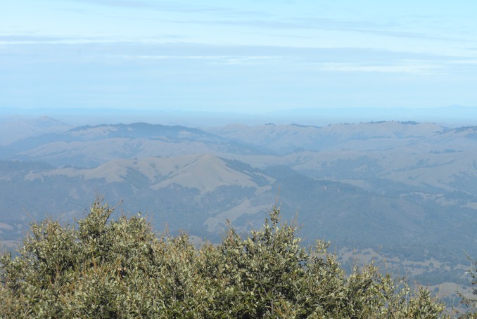 Mt Tam View 3