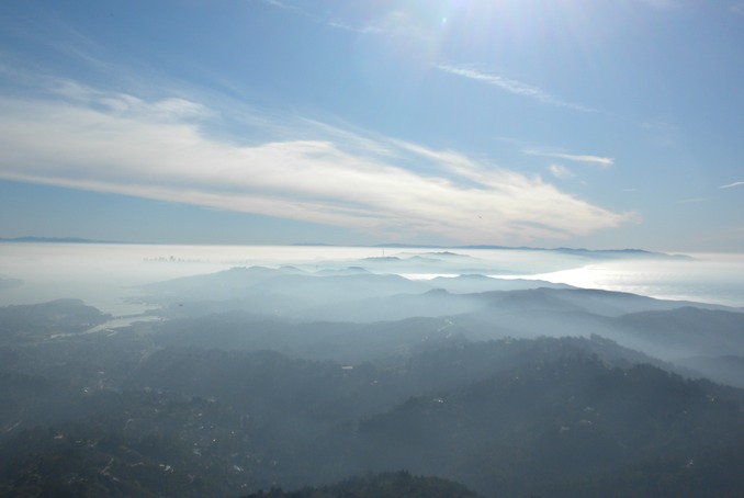 Mt Tam View 5