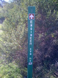 photo(2)