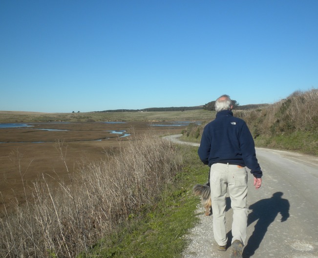 Pt Reyes, Oyster area 4