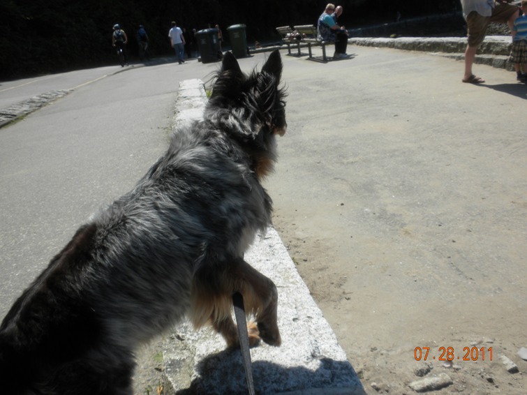 Stanley park Maya at beach