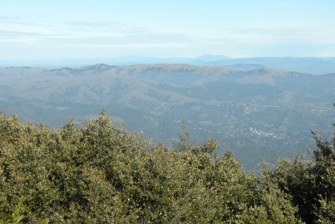 Tamalpais view 3