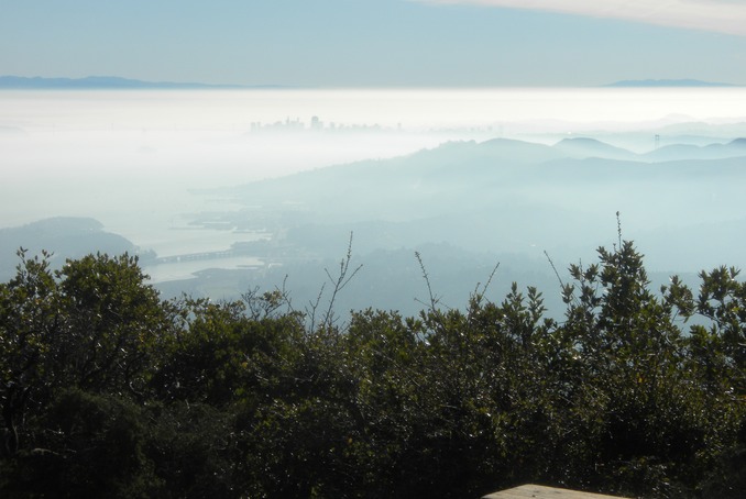 Tamalpais view 4