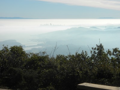 Tamalpais view 4