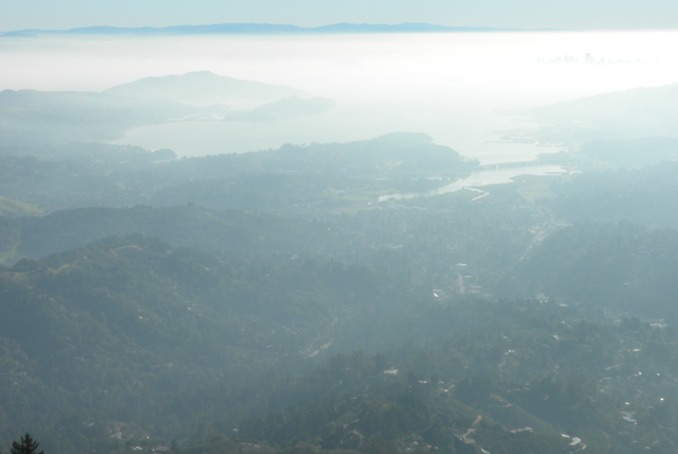 Tamalpais view 6
