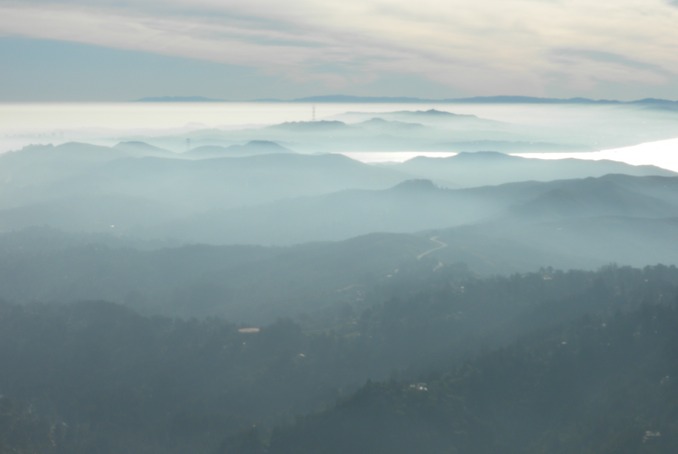 Tamalpais view 7