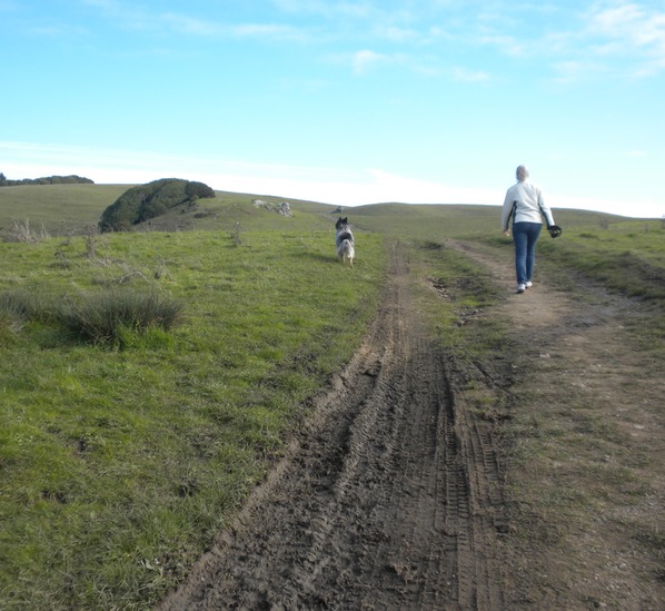 X & Maya at Bolinas Ridge